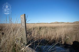St Peter-Ording - Salzwiese No. XVII