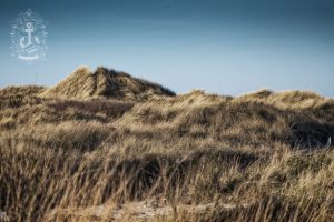 St Peter-Ording - Dünen No. XXXIV