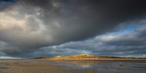 Nordseeinsel Fanø - Sønderho Dünen No. XXI